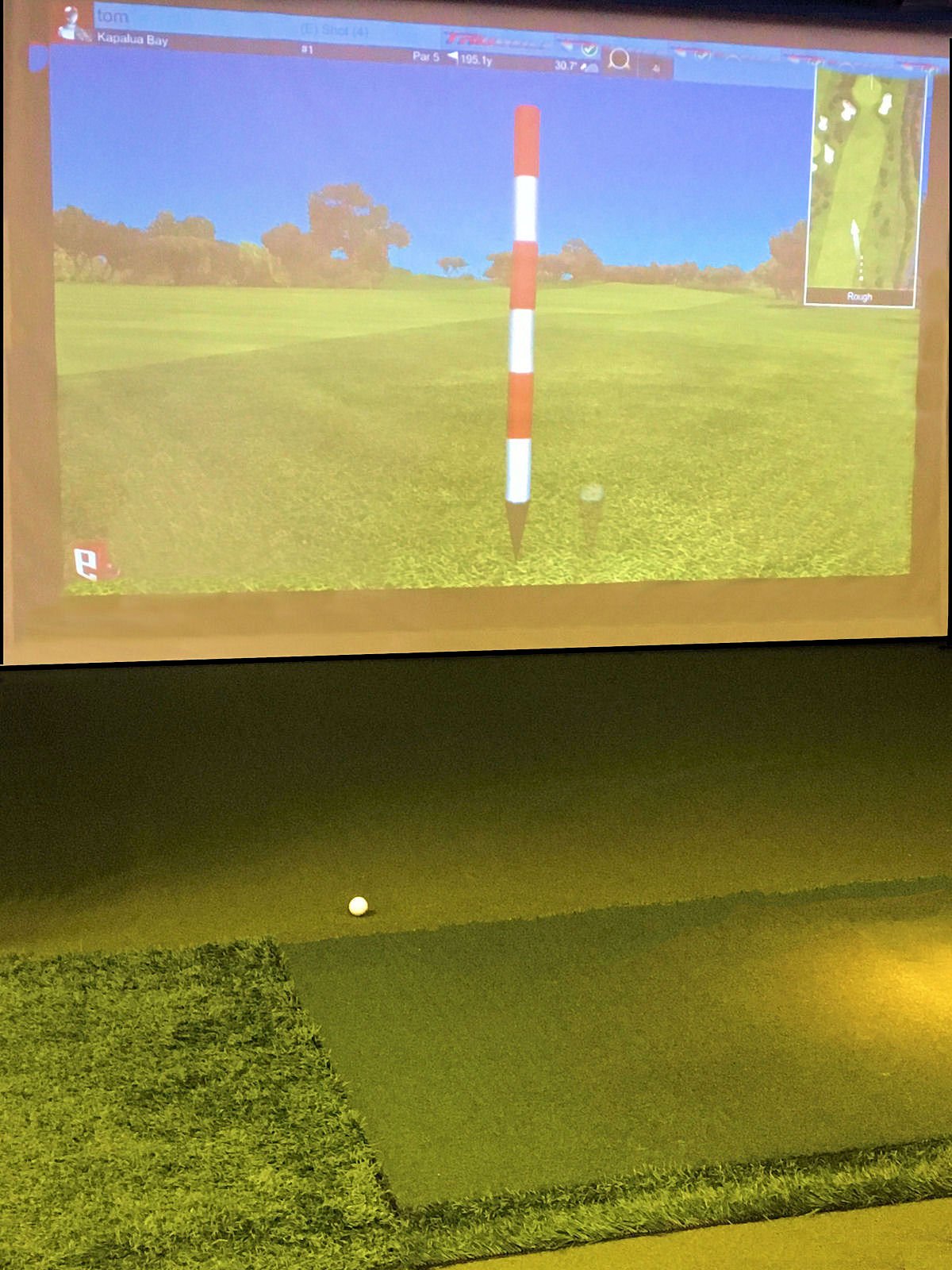 Golf For Less Simulator